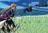 BUY NEW spice and wolf - 184660 Premium Anime Print Poster